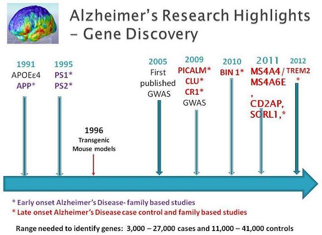 The Alzheimer's Gene Puzzle - The ApoE4 Variant As A Risk Factor - The ...